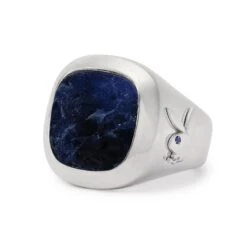 Membership Ring 2.0 -Best Clothing Store 003ring3acopya e4d3bc23 6b7b 4094 9e35 3f013fb291c8