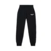 Aviation Wings Jogger Pant