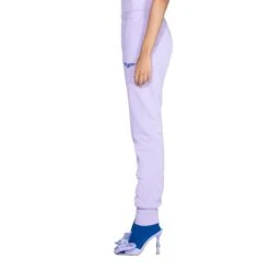 Aviation Wings Jogger Pant -Best Clothing Store BIgBunny Skinny Pant Mauve 007 c8d86f96 eaa1 4b6f 93d3 8be6b8ae87d4