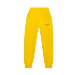Aviation Wings Jogger Pant -Best Clothing Store BIgBunny Skinny Pant Mustard 001 4b05ced7 977f 42a0 a659 92c35c83237e