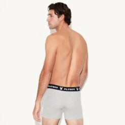 Classic Boxer Brief -Best Clothing Store M9 503048 6617192497249 CLASSIC BOXER BRIEF HEATHER GREY 1062 0889bd56 cc09 4c9a bced 4d76b398b98f