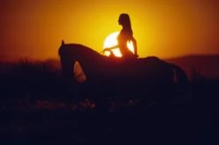 December 1972 Playmate Mercy Rooney Sunset Rider Hoodie -Best Clothing Store PB2548281 60a38f29 4a8b 43b8 ad2d eaf8a7caa404