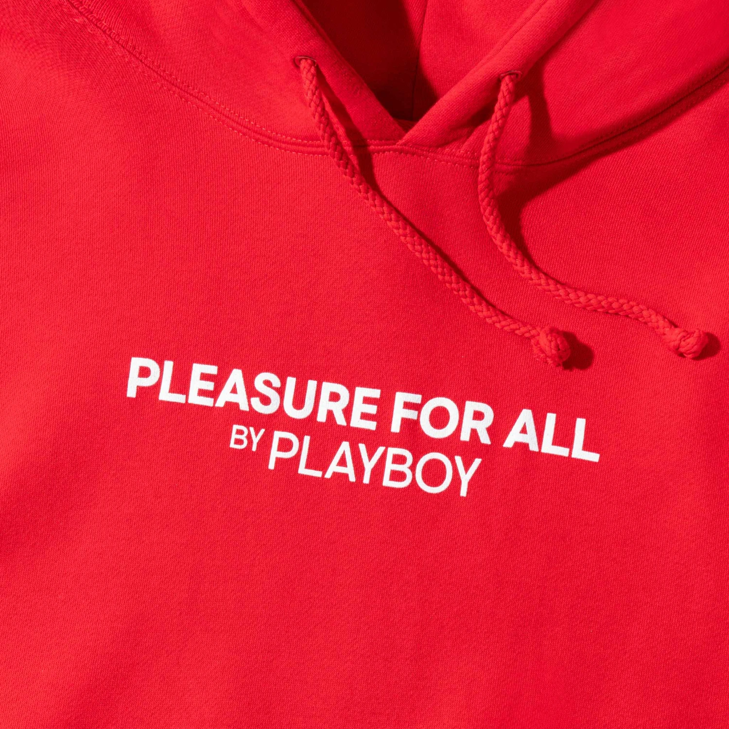 Pleasure For All Hoodie 5 Pleasure For All Hoodie - Image 3