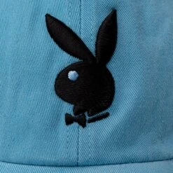 '47 Brand Adjustable Dad Hat -Best Clothing Store Playboy 47 Dad Hat lightblue black 04 b9b6dfb6 3eb2 4fc8 9583 efff5b8832db