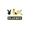 Playboy Classics Enamel Pin Pack -Best Clothing Store Playboy ClassicEnamelPinPack 0 d01eff77 34bc 4828 bcf0 d6092eade594